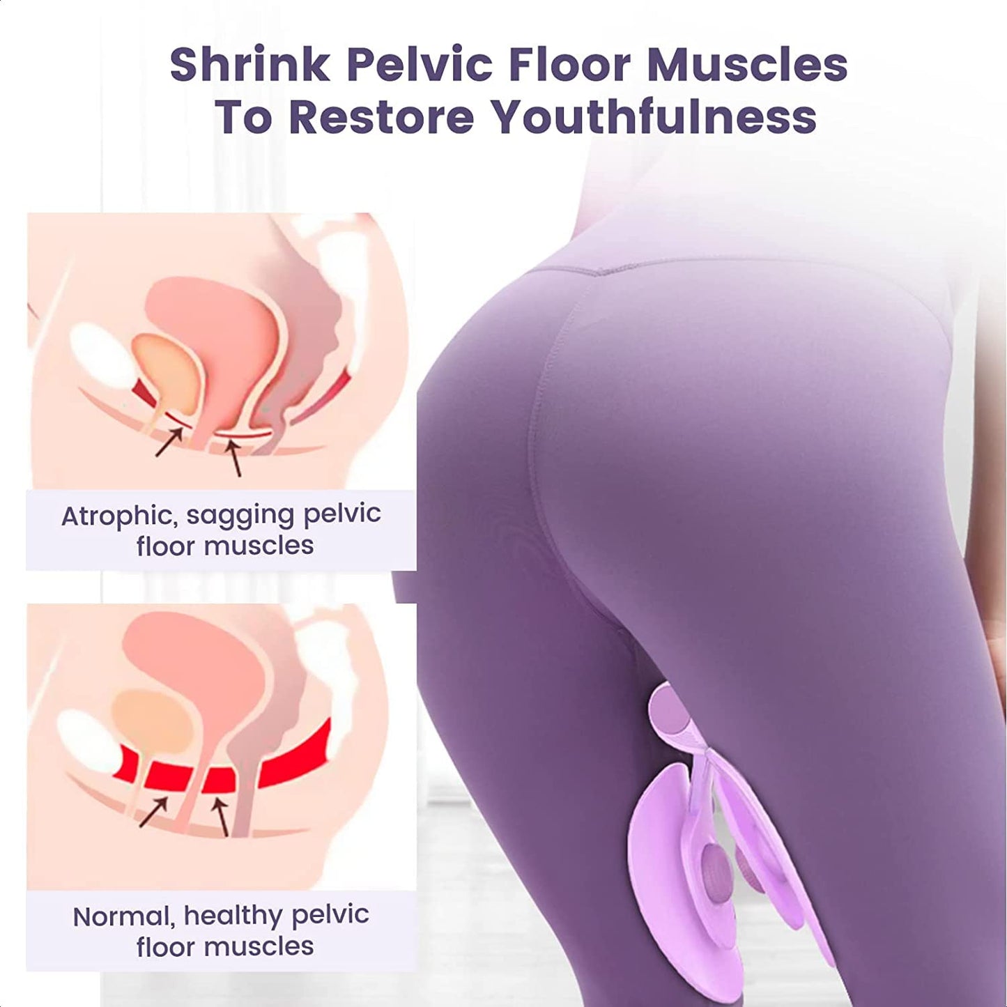 Pelvic Muscle Trainer